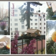 nazdoben� krm�tko pro pt��ky