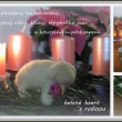 V�noce 2014 / adventn� v�nec v ���ov� a m� prvn� plst�n� ove�ka a and�l :-)