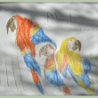 papou�ky pastelkama namaloval �pln� s�m ♥ hrd� matka jsem ♥